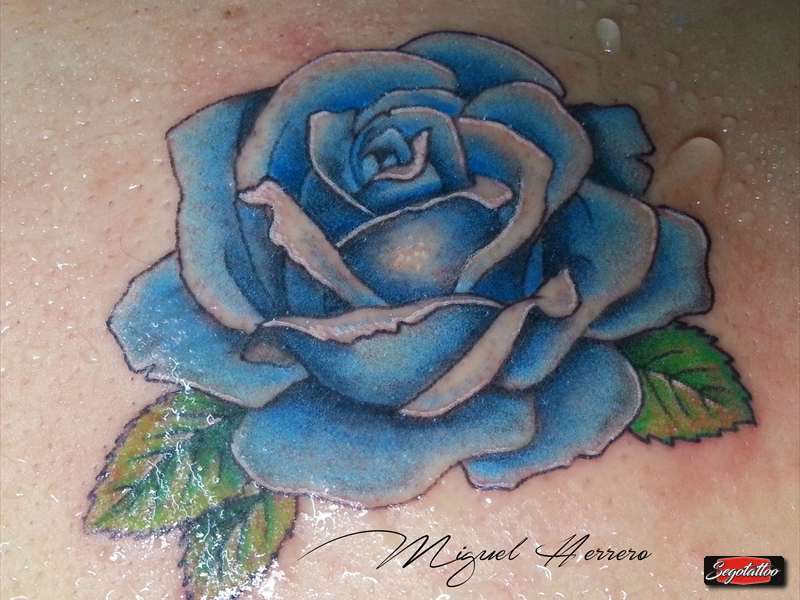 07.rosa azul