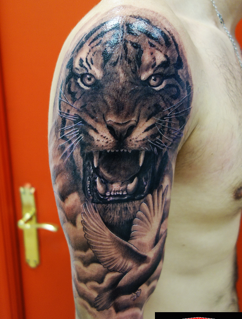 foto final 3 apertura