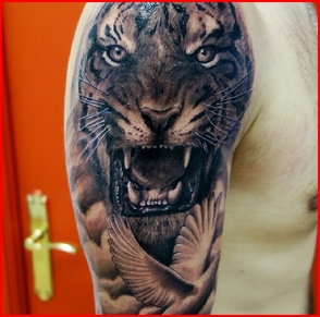 foto final 3 apertura.jpg