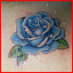 07.rosa azul.jpg