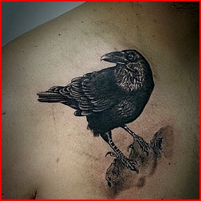 cuervo realista.jpg