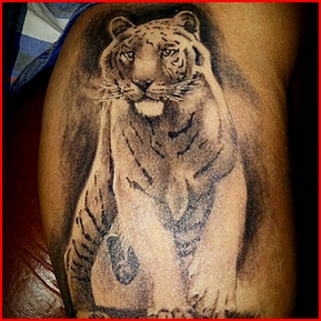 tigre blanco curado.jpg